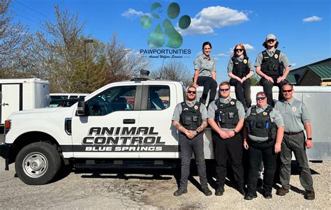 Top 10 Animal Removal Services in San Anselmo, CA 2023 .